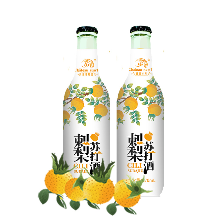 刺梨苏打酒_199/箱