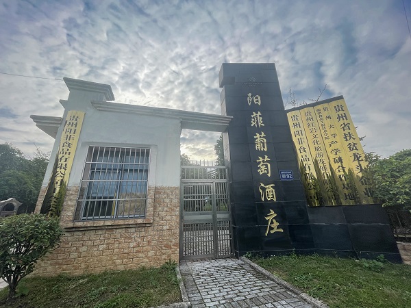 阳菲庄园：贵州的葡萄酒诗行