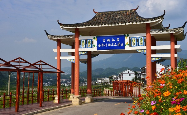 酿造自然之味，品味山间佳酿